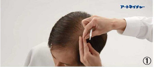 アートネイチャーの動き商標１