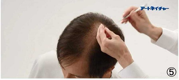 アートネイチャーの動き商標５