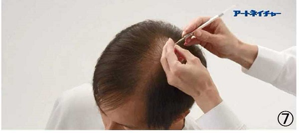 アートネイチャーの動き商標７