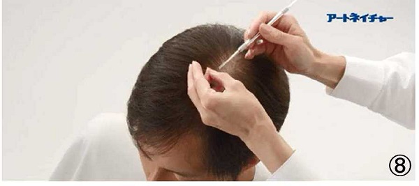 アートネイチャーの動き商標８