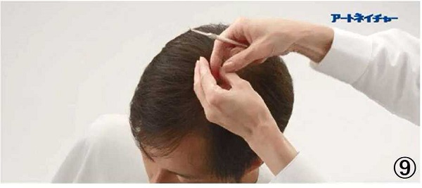 アートネイチャーの動き商標９