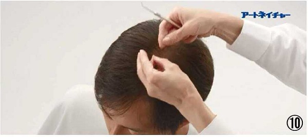 アートネイチャーの動き商標１０