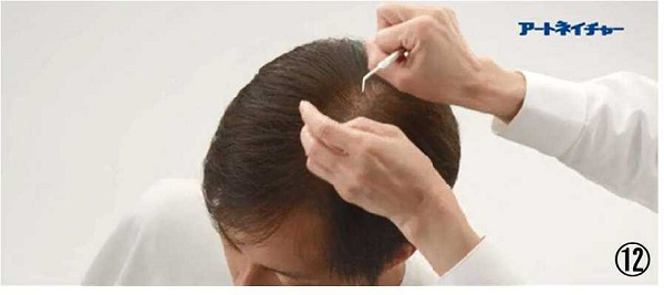 アートネイチャーの動き商標１２