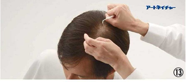 アートネイチャーの動き商標１３