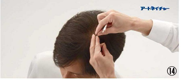 アートネイチャーの動き商標１４