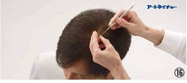 アートネイチャーの動き商標１６