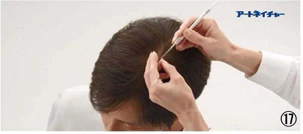 アートネイチャーの動き商標１７