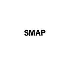 ＳＭＡＰ