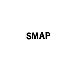 ＳＭＡＰ