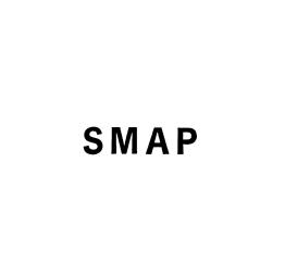 ＳＭＡＰ