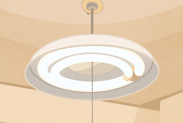 サークラインの照明