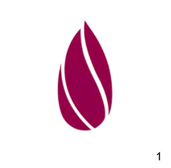 ワコールの動き商標１