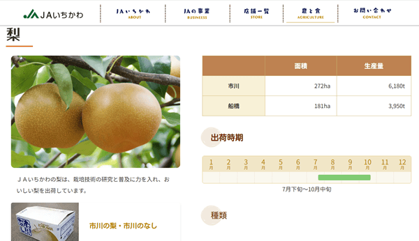 市川市農業協同組合