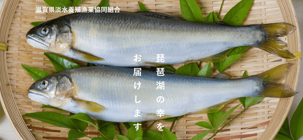 滋賀県淡水養殖漁業協同組合