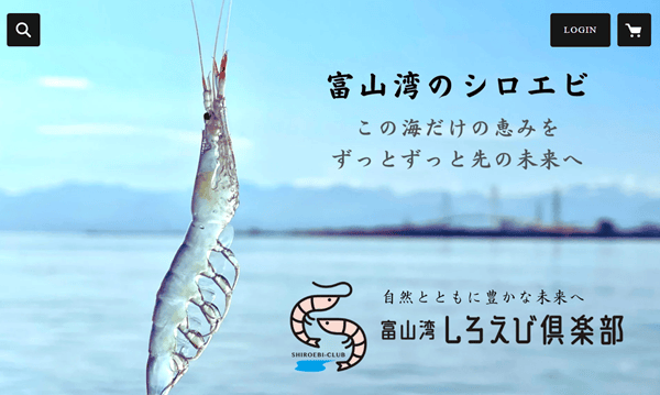 富山湾しろえび倶楽部