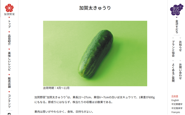 加賀太きゅうり