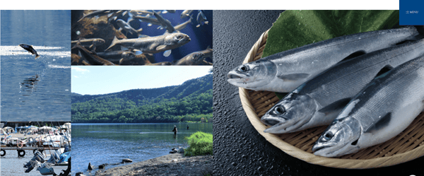 支笏湖漁業協同組合